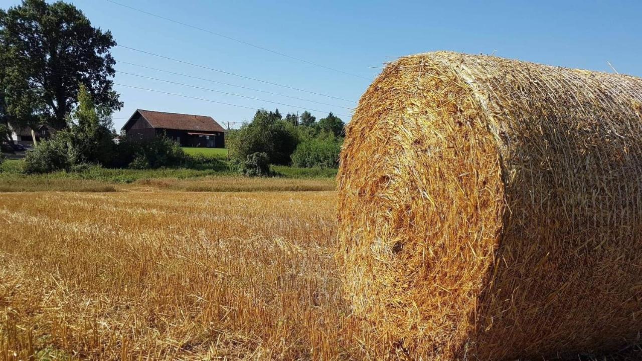 Folwark Tumiany Pokoje & Restauracja Экстерьер фото